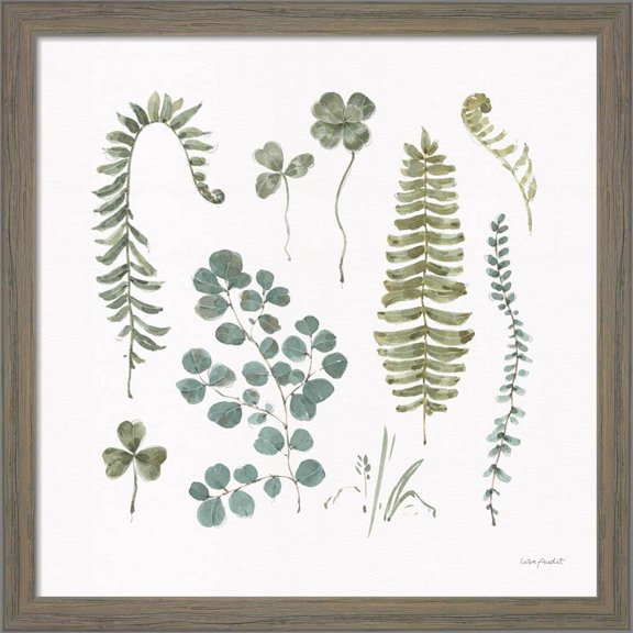 Great Art Now Fern Study 02 by Lisa Audit, Framed Wall Art, 13W x 13H