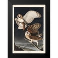 thumbnail image 2 of Audubon, John James 13x18 Black Modern Framed Museum Art Print Titled - Barn OwlÂ&nbsp;, 2 of 5