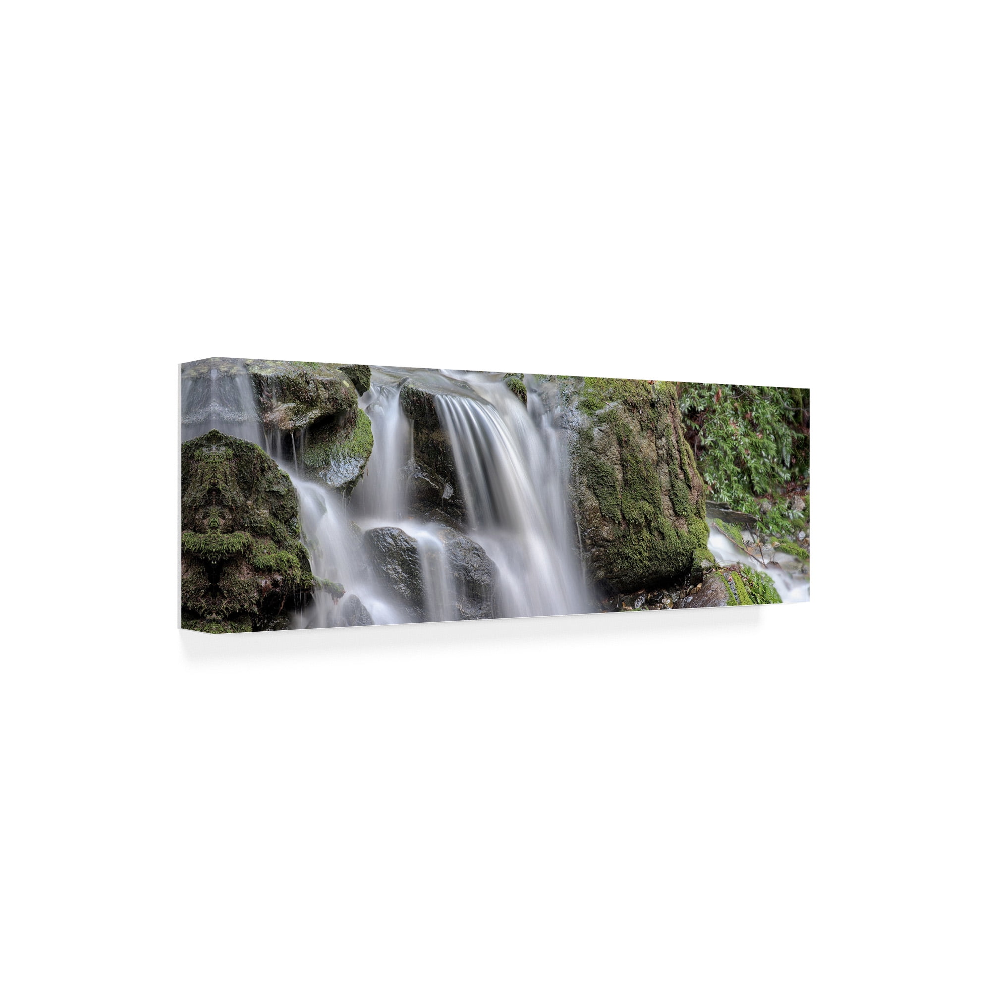 Trademark Fine Art 'Canyon Falls No. 10' Canvas Art by Alan Blaustein