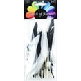thumbnail image 3 of 38290 Duck Quill Feathers 3-24/Pkg-Black & White Mix - 72 total pcs 3, 3 of 3