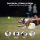thumbnail image 3 of Lanzador automático de pelotas para perros, ideal para perros medianos y grandes, 3 of 9