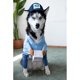 thumbnail image 4 of Disfraz de cartero para perro de USPS, divertido mensajero transformado en perro, gato, perro mediano y grande, suministros de decoración para el día de Halloween, ropa (1), 4 of 5