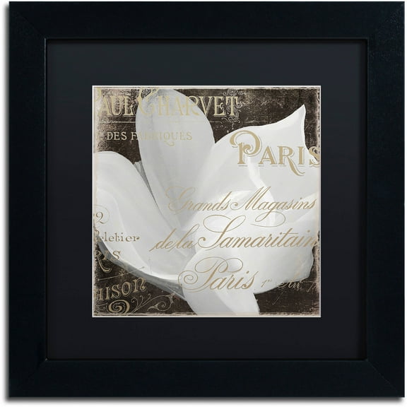Trademark Fine Art "Fleurs Blanc II" Canvas Art by Color Bakery Black Matte, Black Frame