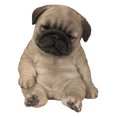 thumbnail image 1 of SLEEPY PUG STATUE de Chiot Assis, 1 of 4