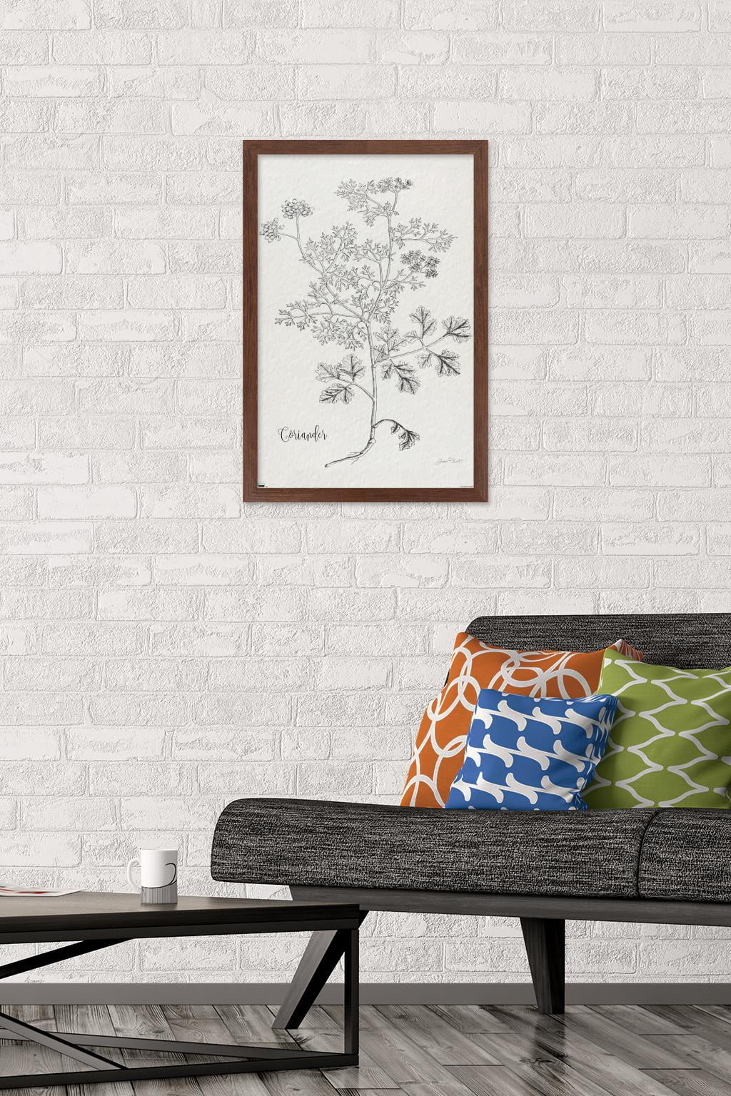 Jean Plout - Botanical Studies on Paper Coriander Wall Poster, 14.725" x 22.375" Framed