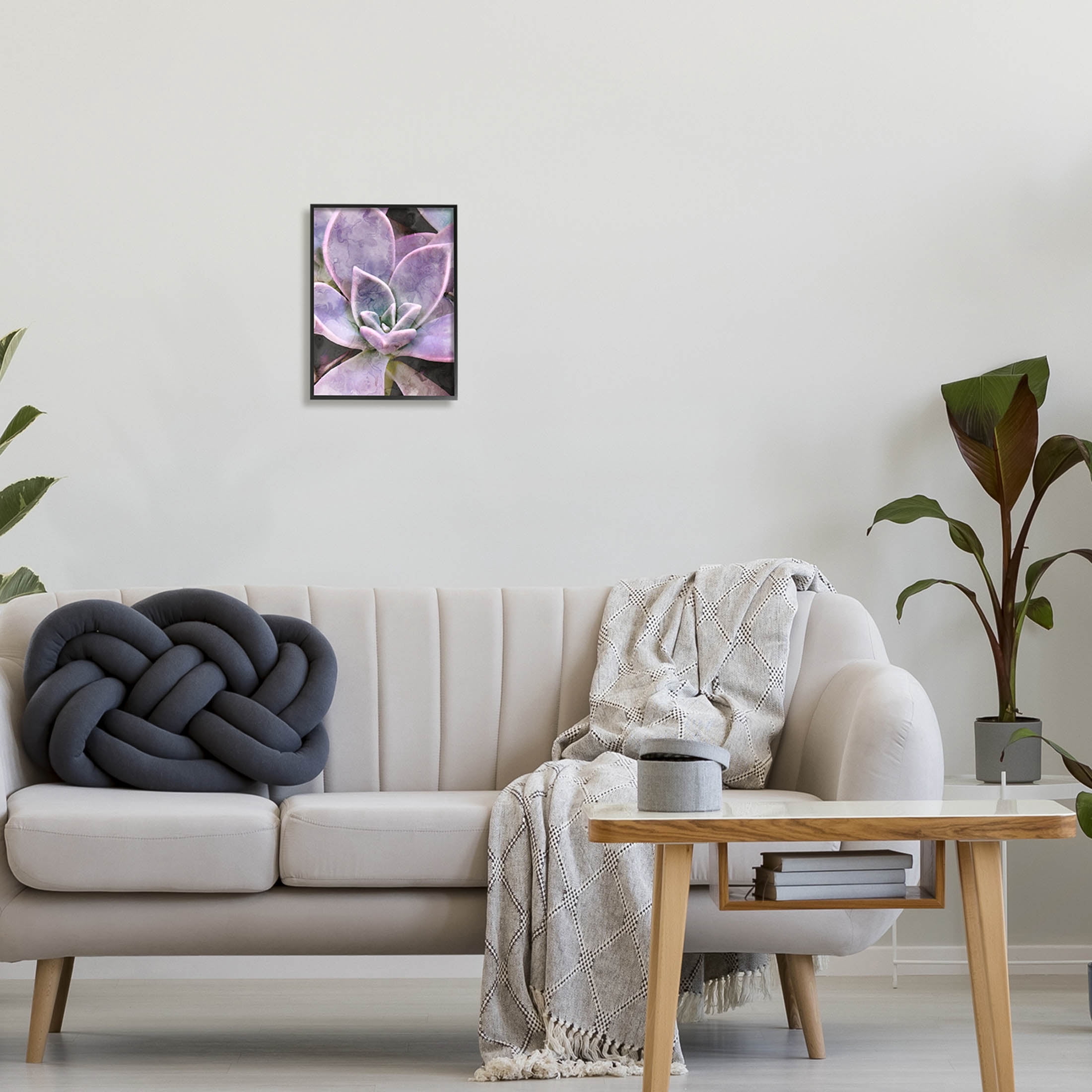 Purple Succulent Close Up Botanical & Floral Graphic Art Black Framed Art Print Wall Art