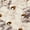White Snake, variant on Time and Tru Women's Dress Feather Flat