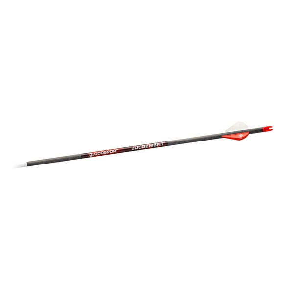 Bloodsport Judgement Hunting Arrows - 31" - 350 Spine