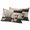 White Brown Tan, variant on Bless OurHome Outdoor Waterproof Throw Pillow Covers 20x20 Set of 2, Farmhouse Pots Texas Stars Retro Wooden Plank Decorative Pillowcases Cushion Pillowcase for Couch Sofa Patio Pillow Protector