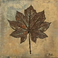 thumbnail image 2 of Pinto, Patricia 26x26 Black Ornate Wood Framed with Double Matting Museum Art Print Titled - Maple III, 2 of 4