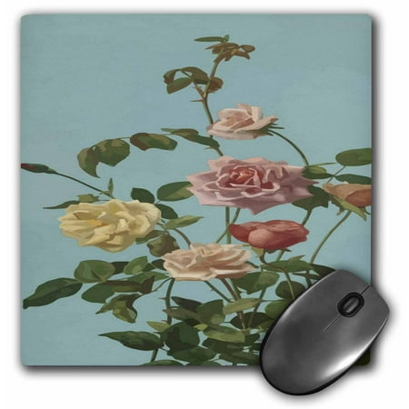Victorian Tea Lady 3dRose Tea Roses and Blush Roses Climbing roses in a vintage Victorian style on baby blue, Mouse Pad, 8 by 8 inches ()
