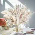thumbnail image 5 of Ramo de hierba Pampas seca 92 piezas | Junco natural, blanco y mezcla de colores | Decoración Bohemia de 17" de altura | Elegante relleno de jarrón para salón, boda y centro de mesa | Cuidado, 5 of 5