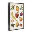 thumbnail image 2 of Stupell Industries Traditional Fruit Collection Studies Black Framed Giclee Art, 20 x 30, by Diane Neukirch, 2 of 8
