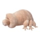 thumbnail image 2 of Oso de peluche de agua | Peluche de microbio marino de 25 cm | Peluche corto y suave con relleno de algodón PP | Regalo decorativo y antiestrés para niños y adultos, 2 of 6