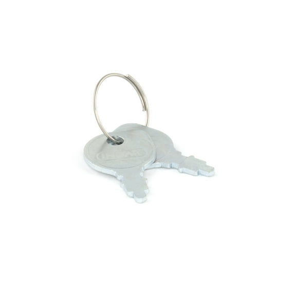Briggs & Stratton Key Set | 691959