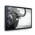 thumbnail image 3 of Designart 'Black and White Portrait Of Buffalo III' Farmhouse Framed Canvas Wall Art Print, 3 of 5