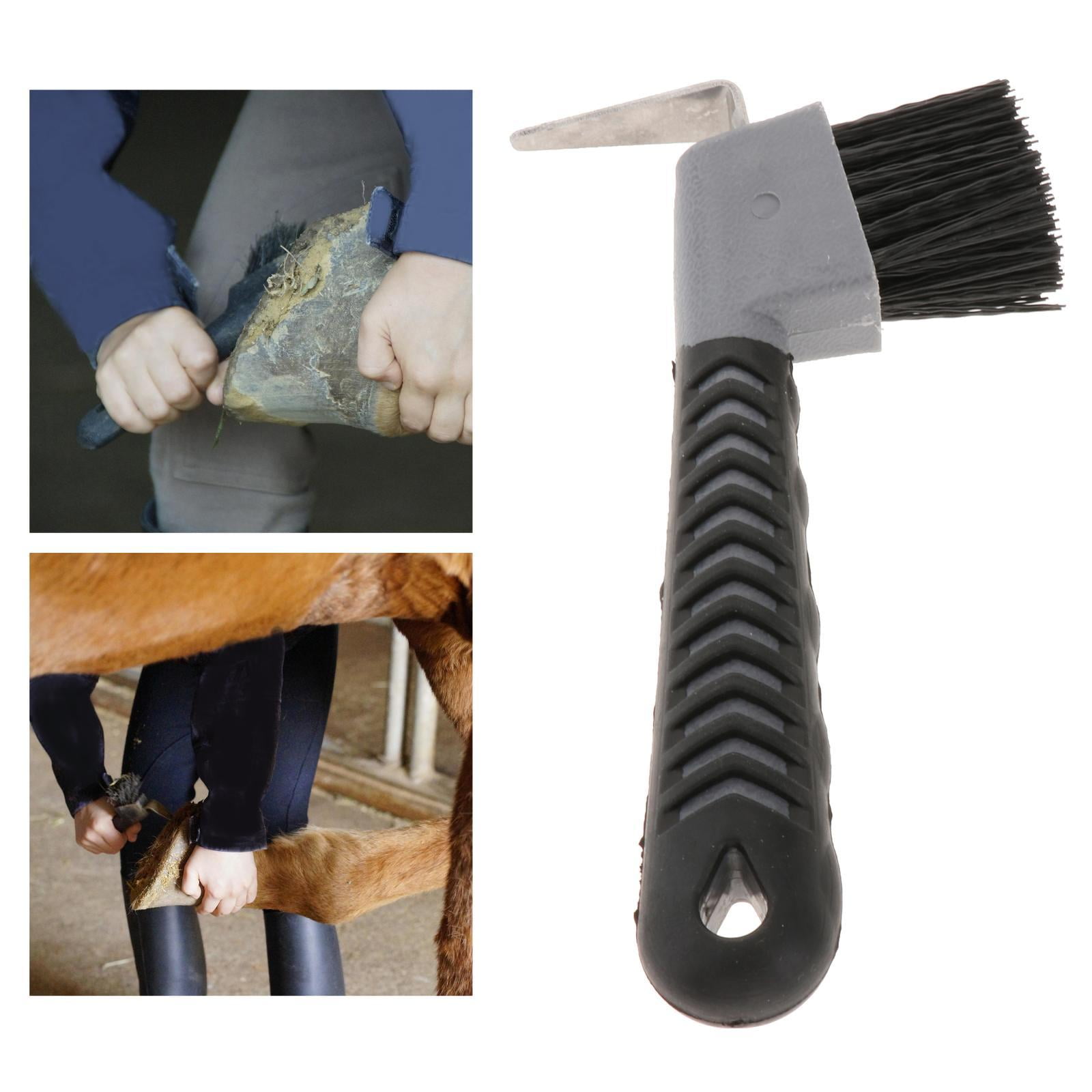 Horse Hoof Equestrian Grooming Tool Cleaning for Equipment Hoof Rasp