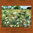1000 Pcs Pooping Dog Puzzle 101 Pooping Puppies Funny Dog Jigsaw