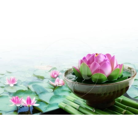 Spa Still Life with Lotus for Body Treatment Print Wall Art By Liang
