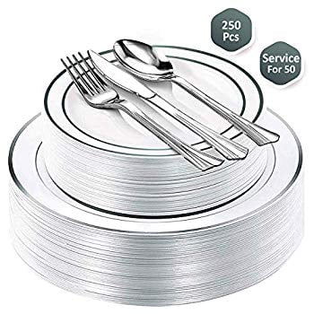where to buy nice disposable plates