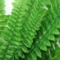 thumbnail image 1 of OHOIOLLA Planta Colgante Artificial Verde Para Interior Y Eventos Con Hoja De Helecho, 1 of 8