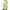 Green, variant on AherBiu Sweatshirt for Girls Hoodie Oversize Toddler Pullover Long Sleeve Casual Fall Kids Sweatshirts