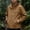 #0356-Coffee, variant on Men's Waterproof Windbreaker Jacket Hooded with Pockets Drawstring Solid Color Outdoor Rain Coat for Hiking Travel Daily
