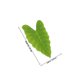 thumbnail image 2 of BESTYASH 6Ud Manteles De Hojas Artificiales Para Fiesta Hawaiana Y De, 2 of 8