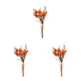 thumbnail image 3 of Ramos de Flores secas naturales Cateissary HS-15 3Conjunto, 3 of 6