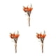 thumbnail image 3 of Ramos de Flores secas naturales Cateissary HS-15 3Conjunto, 3 of 6