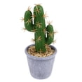 thumbnail image 1 of Simulation Tropical Plants Creative Artificial Cactus Fake Potted Bonsai Decor for Home Office (Pot Included) (Extra-lar, 1 of 8