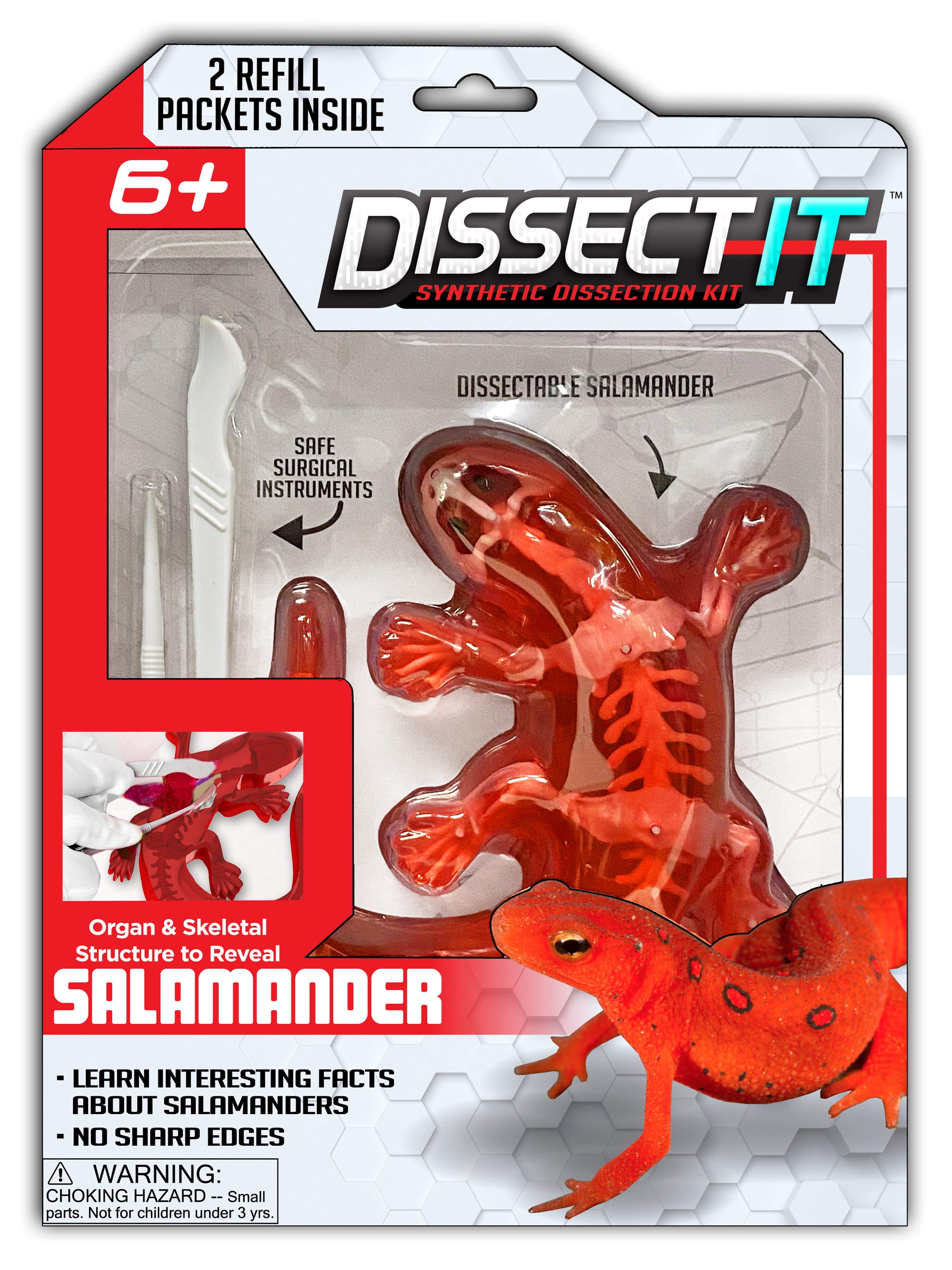 Dissect-It Salamander Lab Interactive Simulation Stem Toy