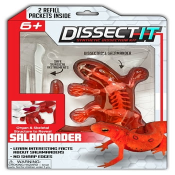 Dissect-It Salamander Lab Interactive Simulation Stem Toy
