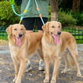 thumbnail image 3 of Double Head Leash For Two Dogs Surge And Escape With A Crossbody Strap For Walking Dogs A Walking, 3 of 4