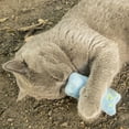 thumbnail image 3 of Pretty Kitty Catnip Toys for Cats | 6-Piece Cat Pillow Set with Catnip | Fluffy Pillow Cat Toy | Kitten Toys and Cat Accessories, 3 of 7