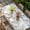 Gray, variant on Blue Beige Coastal Table Cloths for 5 Foot Rectangle Tables, Beach Starfish Summer Eucalyptus Rustic Patio Waterproof Elastic Fitted Tablecloths, Washable Rectangular Table Cover for Camping