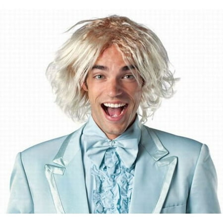 Dumb Dumber Harry Costume Accessory Wig