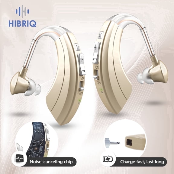 HIBRIQ Rechargeable Hearing Aids with Noise Cancelling, Feedback Cancellation & Clear Speech for Seniors HH-1220AX
