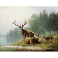 thumbnail image 2 of Moritz Müller 24x20 Gold Ornate Framed and Double Matted Museum Art Print Titled - Stag at a Lake (1876), 2 of 4