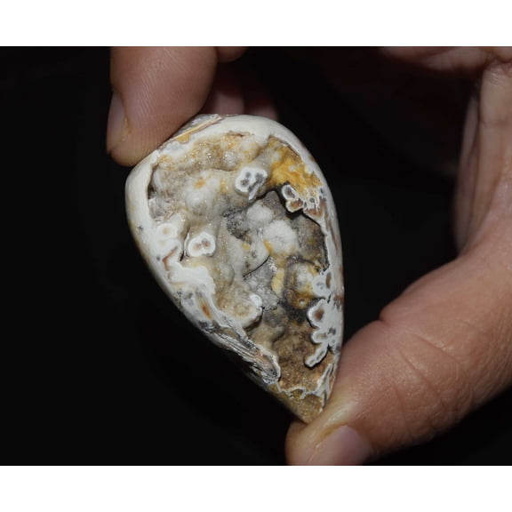 Natural Fossil Snail Druzy Agate, Natural Shell Loose Gemstone 163.15 Cts