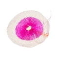 thumbnail image 1 of Manto de doble corbata American Mantle, 2 paquetes para linternas, 1 of 4