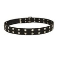 thumbnail image 3 of Double Grommet Belt for Women Men PU Leather Double Prong Buckle Vintage Punk Jeans Belts Black, 3 of 8