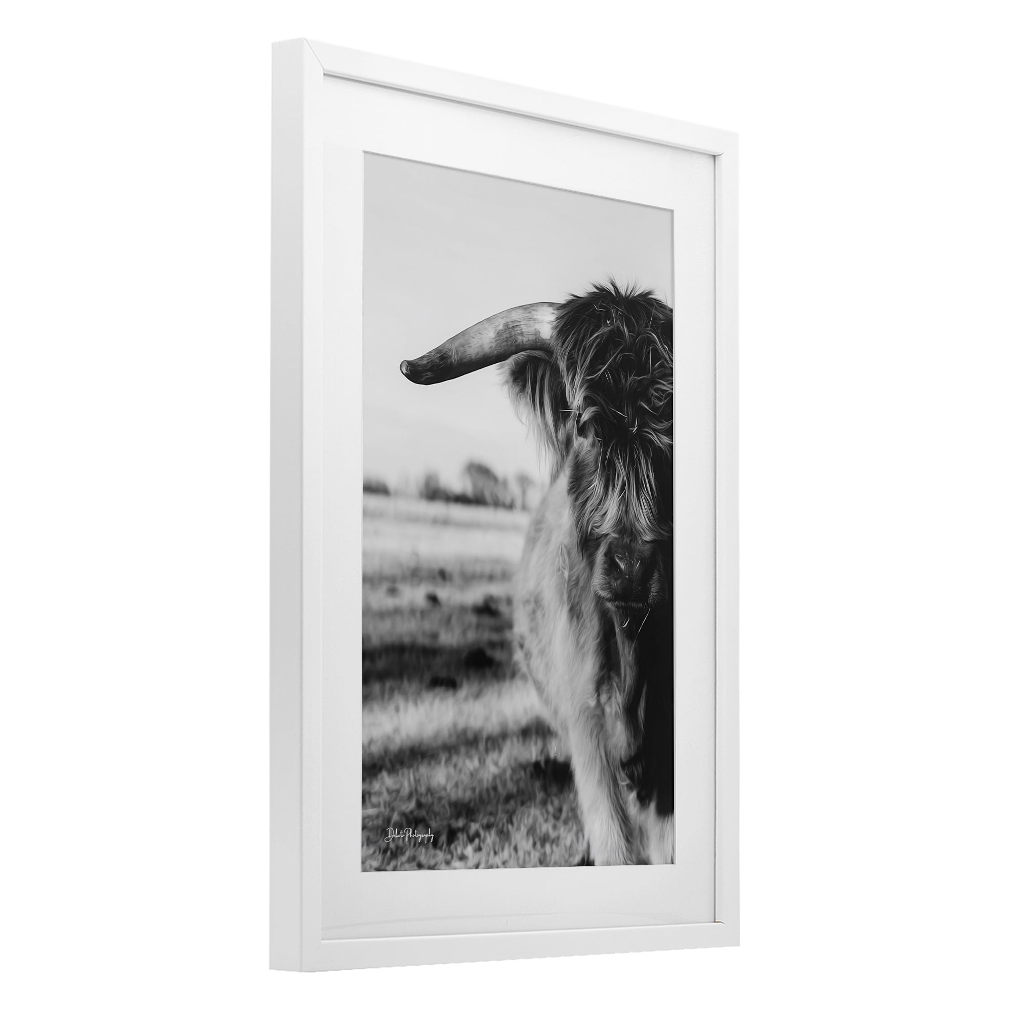 Stupell Industries Baby Cattle in Monochrome White Framed Print Under Glass, design by Dakota Diener