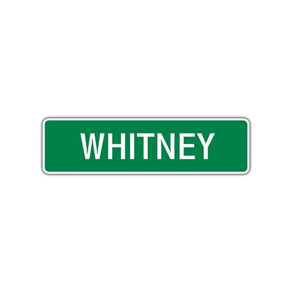 Whitney Girls Children Indoor Outdoor Unique Wall Novelty Name Letter Printed Plaque Decoration Label Aluminum Metal Sign 4"x13.5"
