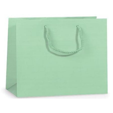 1 Unit Aqua Matte Vogue Gift Bags Mini Pk 16x6x12