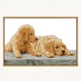 thumbnail image 2 of simhoa Beginner Design Works Cross Stitch s Dogs 11CT 14CT Counted 59 x 39cm 11CT Stamped, 2 of 8
