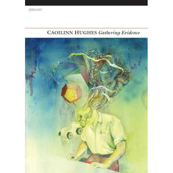 Pre-Owned Gathering Evidence (Paperback) 1847772625 9781847772626