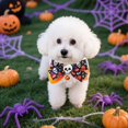 thumbnail image 4 of Durable Halloween Pet Collar for Dogs and Cats - Chew- Polyester Accessory for Festive Indoor Outdoor Use, 4 of 5