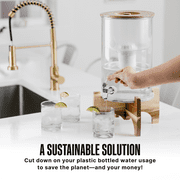 Invigorated Water PH001 Ultra Alkaline Water Filter, 96 Gallons, Multi-Stage Filtration, 1-Pack