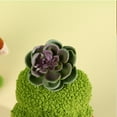 thumbnail image 5 of Promotion Clearance Green Succulent Gnomes Doll With Big Bearded Garden Plants Swedish Plush Gnome Faceless Dolls Dwarf Spring Summer Home Decor, 5 of 6